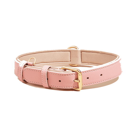 Leather Dog Collar with Adjustable Fit, Breathable and Comfortable, Pearl Gold-Plated Alloy Buckle, Pearl Gold Alloy D-Ring, Suitable for Medium to Large Dogs