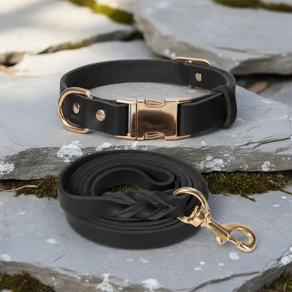 Leather Dog Collar and Leash Set, Heavy Duty with Metal Buckle, Adjustable, Soft, Black
