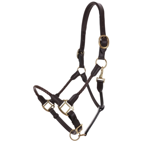 Leather Halter w/ Braided Nose & Cheeks