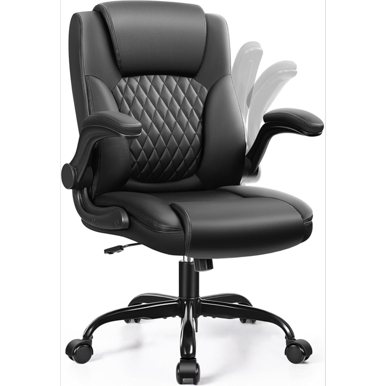 Ergonomic Office Chairs Small Chair With Back Support FLEXISPOT