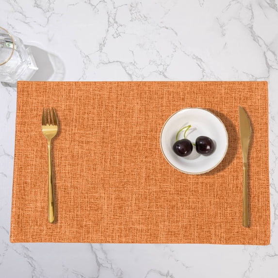 Leather Placemats Set of 2 Heat Insulating Table Mat Double Sided Western Decor