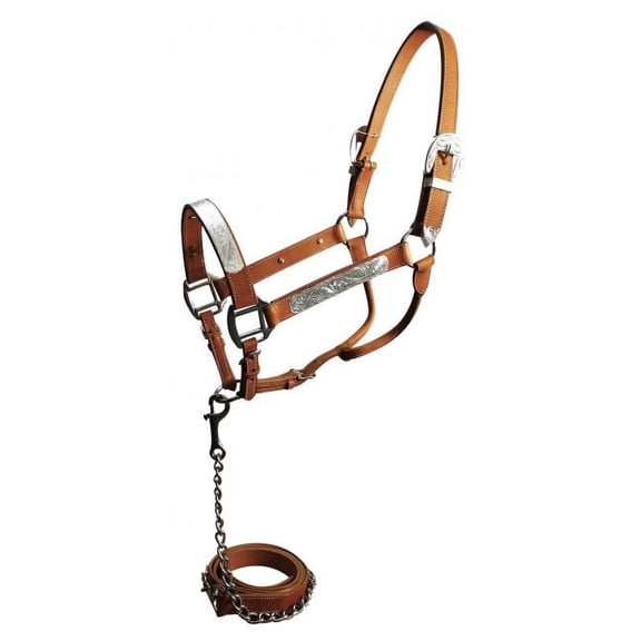 Leather Show Halter w/ Silver Accents & Matching Lead
