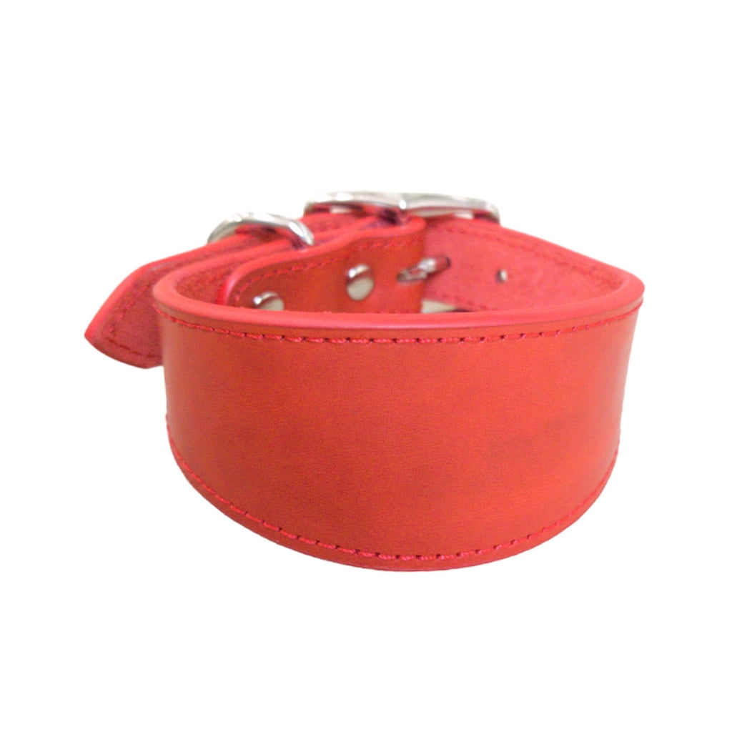 Leathers Dogs Collar Soft Padded Collar for Whippets Salukis