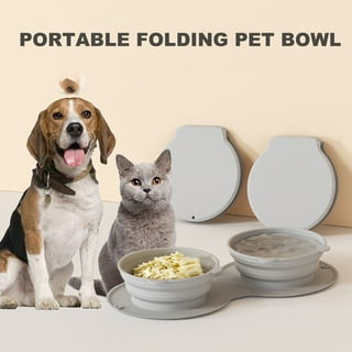 Dog flips over clearance food bowl