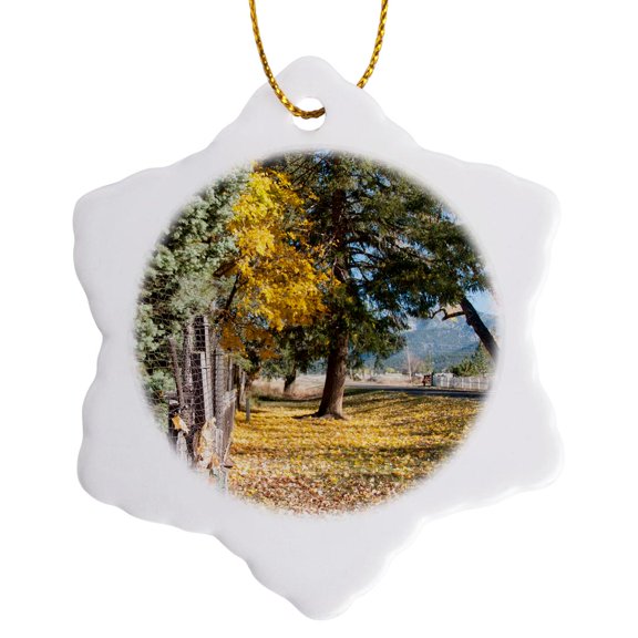 3drose, Leaves All over the Ground with Trees in the Distance in Fall, 3 inch Snowflake Porcelain Ornament