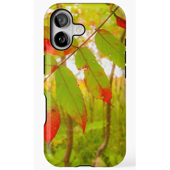 Leaves Beginning To Change Color Photo Phone Case for iPhone 11 12 13 14 15 16 17 Pro Max