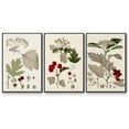 thumbnail image 1 of Leaves & Berries I - Framed Premium Gallery Wrapped Canvas L Frame 3 Piece Set - Ready to Hang, 1 of 9