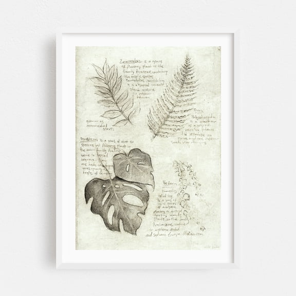 Leaves - Drawing Botanical Floral Vintage Nature Sketch Monstera White Framed Wall Art Print 9 x 12 inches