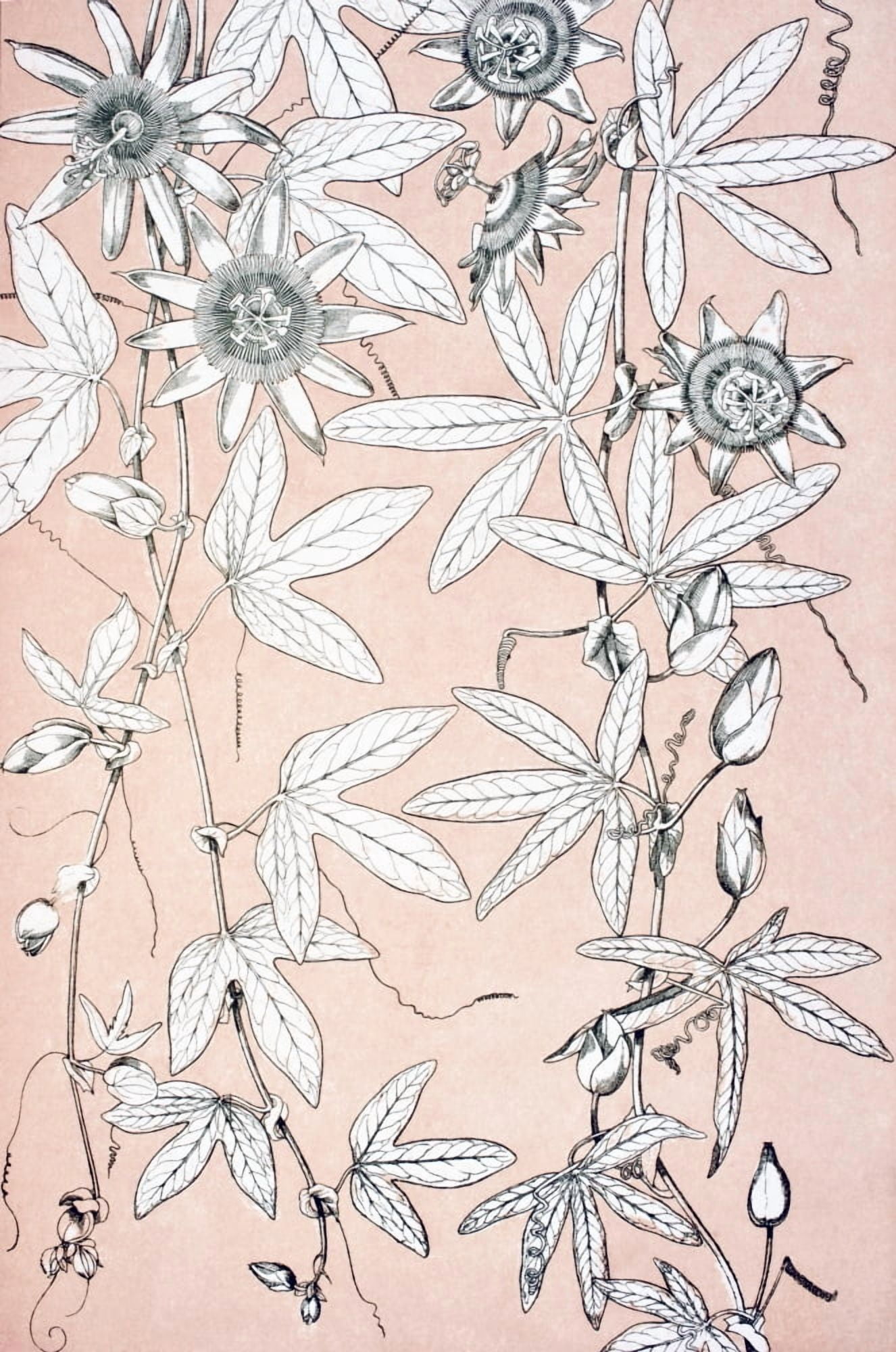 Leaves And Flowers From Nature No 10 Plate C From The Grammar Of Ornament By Owen Jones Published By Day & Son London 1865 Canvas Art - Ken Welsh Design Pics (22 x 36)