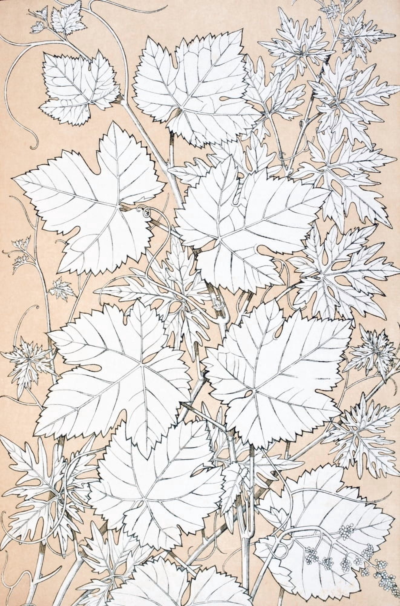 Leaves And Flowers From Nature No 2 Plate Xcii From The Grammar Of Ornament By Owen Jones Published By Day & Son London 1865 Canvas Art - Ken Welsh Design Pics (11 x 18)