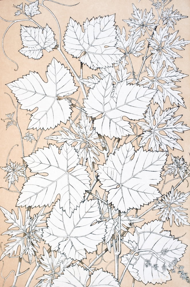 Leaves And Flowers From Nature No 2 Plate Xcii From The Grammar Of Ornament By Owen Jones Published By Day & Son London 1865 Canvas Art - Ken Welsh Design Pics (22 x 36)