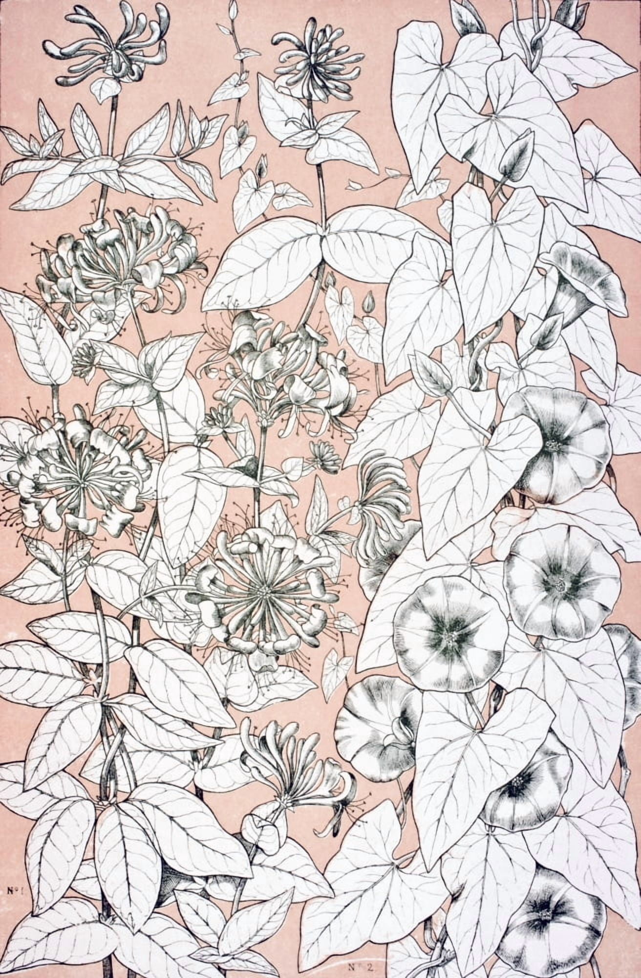 Leaves And Flowers From Nature No 9 Plate Xcix From The Grammar Of Ornament By Owen Jones Published By Day & Son London 1865 Canvas Art - Ken Welsh Design Pics (11 x 18)