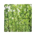 thumbnail image 1 of Leaves Head Scarf, Summer Fresh Leaves, Head Wrap, 3 Sizes, by Ambesonne, 1 of 2