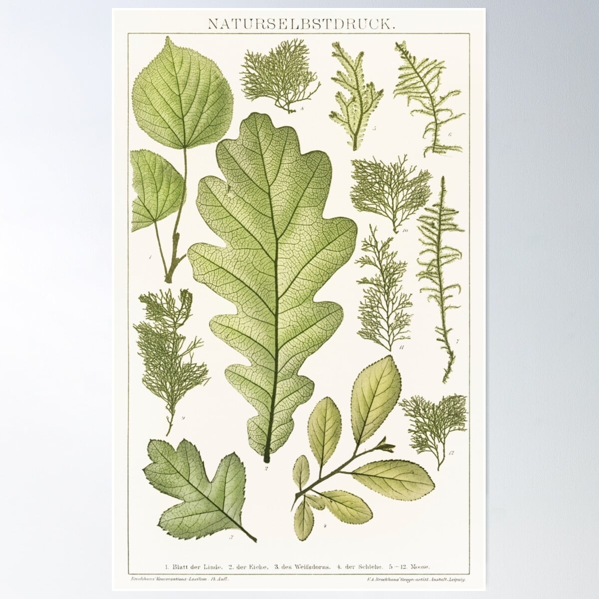 Leaves Means Nature Poster Wall Art, Modern Wall Decor For Living