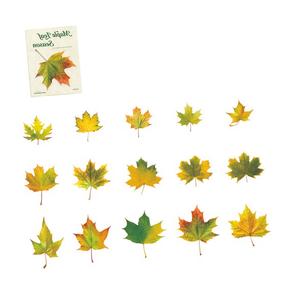 Leaves PET Sticker Removable Adhesive Sticker for Notebook Phone Case