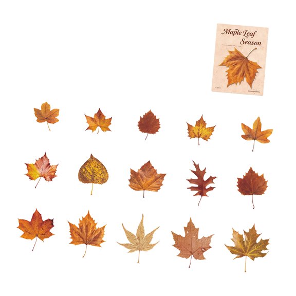 Leaves PET Sticker Removable Waterproof Decorative Sticker Label for Scrapbooking Notebook Journal Phone Case Laptop
