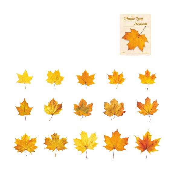 Leaves PET Sticker Removable Waterproof Decorative Sticker Label for Scrapbooking Notebook Journal Phone Case Laptop