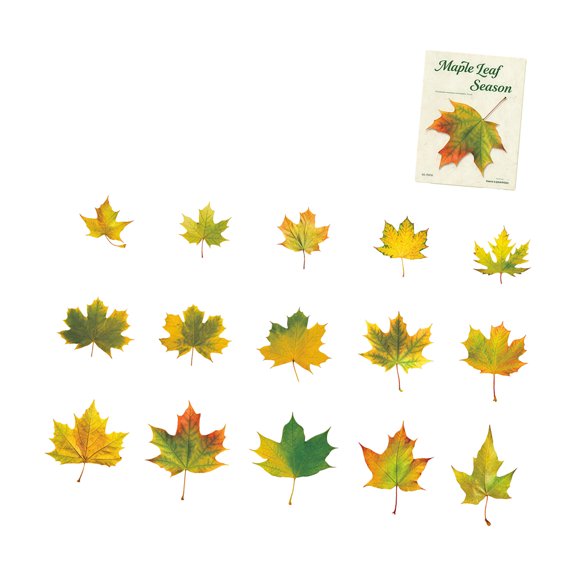 Leaves PET Sticker Removable Waterproof Decorative Sticker Label for Scrapbooking Notebook Journal Phone Case Laptop