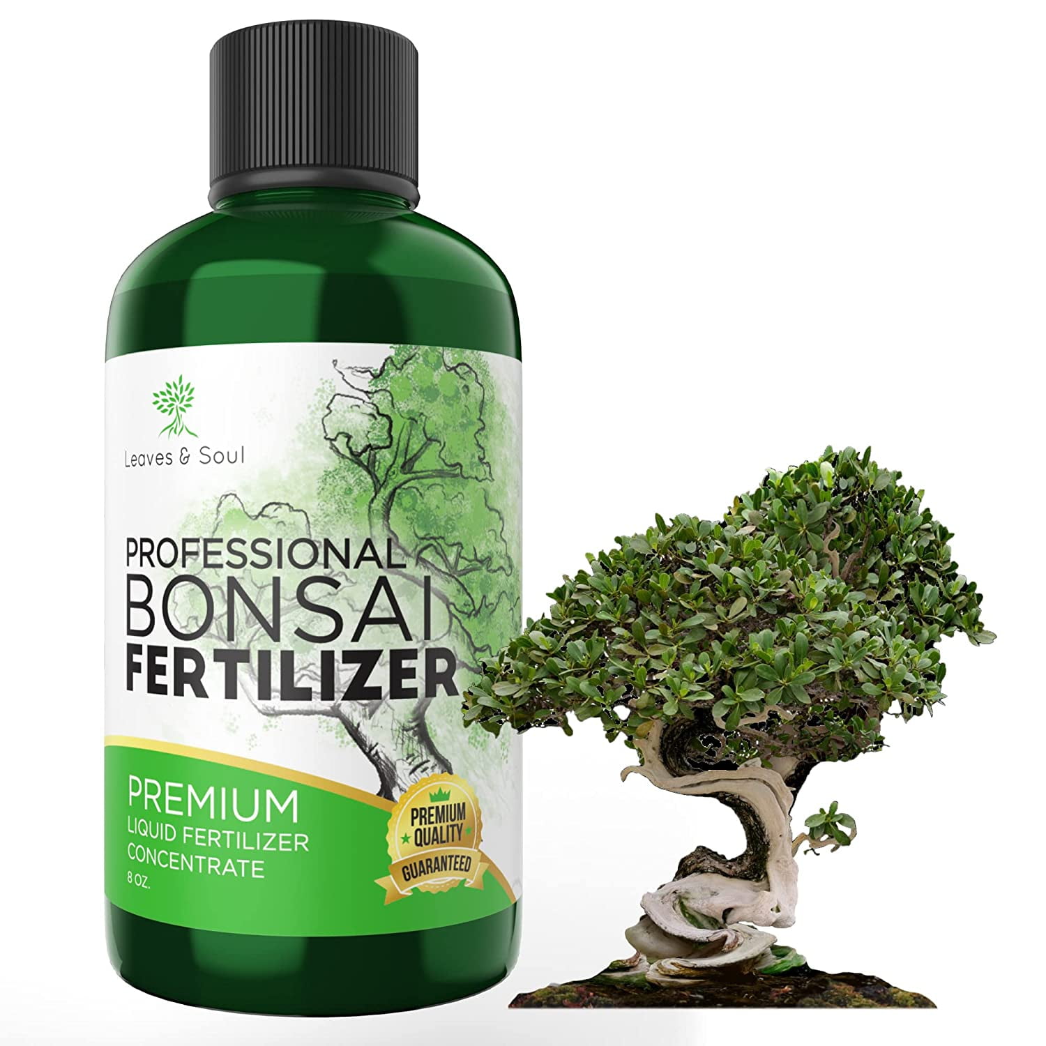 Leaves and Soul Professional Liquid Bonsai Plant Fertilizer, 3-1-2  Concentrate for Bonsai Plants and Trees, Multi-Purpose Blend & Gardening  Supplies, 8 oz Bottle - Walmart.com
