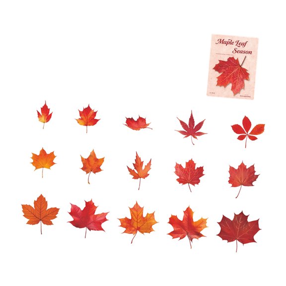 Leaves Theme PET Sticker Scrapbooking Decorative Sticker for Kid Art Craft Notebook Phone Case and Gift Wrapping