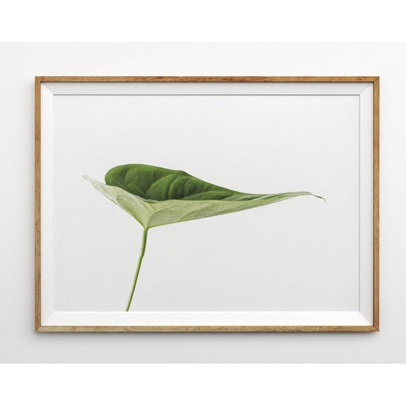 Leaves Tropical Print Botanical Print Tropical Leaf Wall Print Botanical Palm Leaf Print Modern Decor Wall Art, Modern Wall Decor, 24x36 UNFRAMED