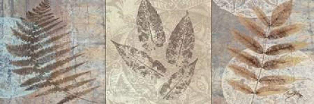 Leaves and Rosettes II Canvas Art - Elizabeth Medley (12 x 36)