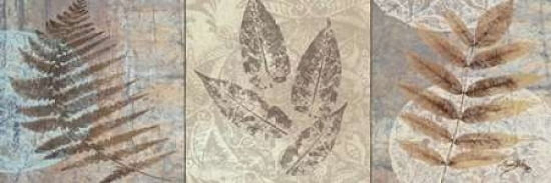 Leaves and Rosettes II Canvas Art - Elizabeth Medley (8 x 24)
