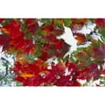 thumbnail image 1 of Leaves in Snow Poster Print by David Chapman, 34 x 22 - Large, 1 of 1
