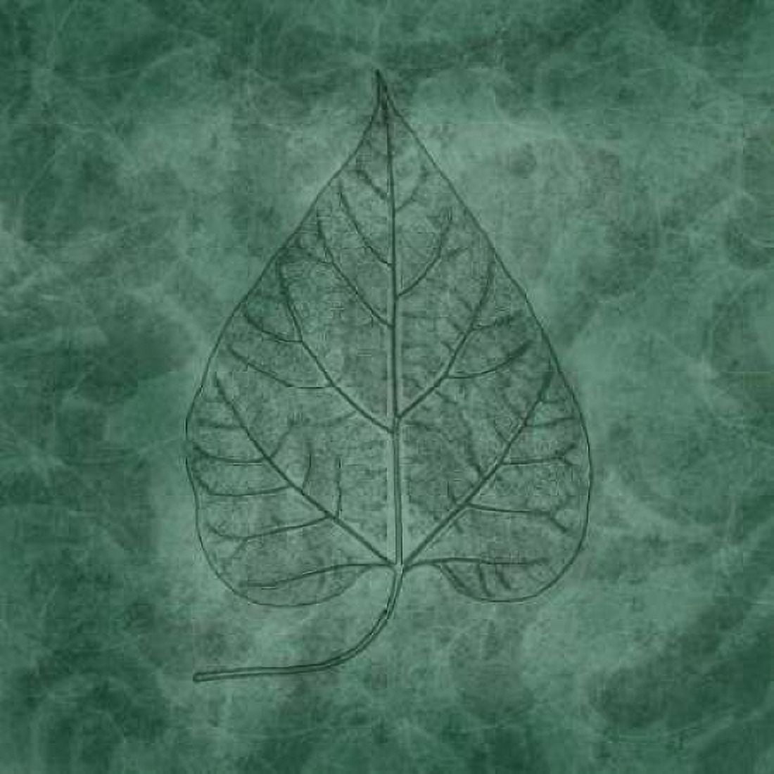 Leaves of Spring Canvas Art - Janel Pahl (24 x 24)