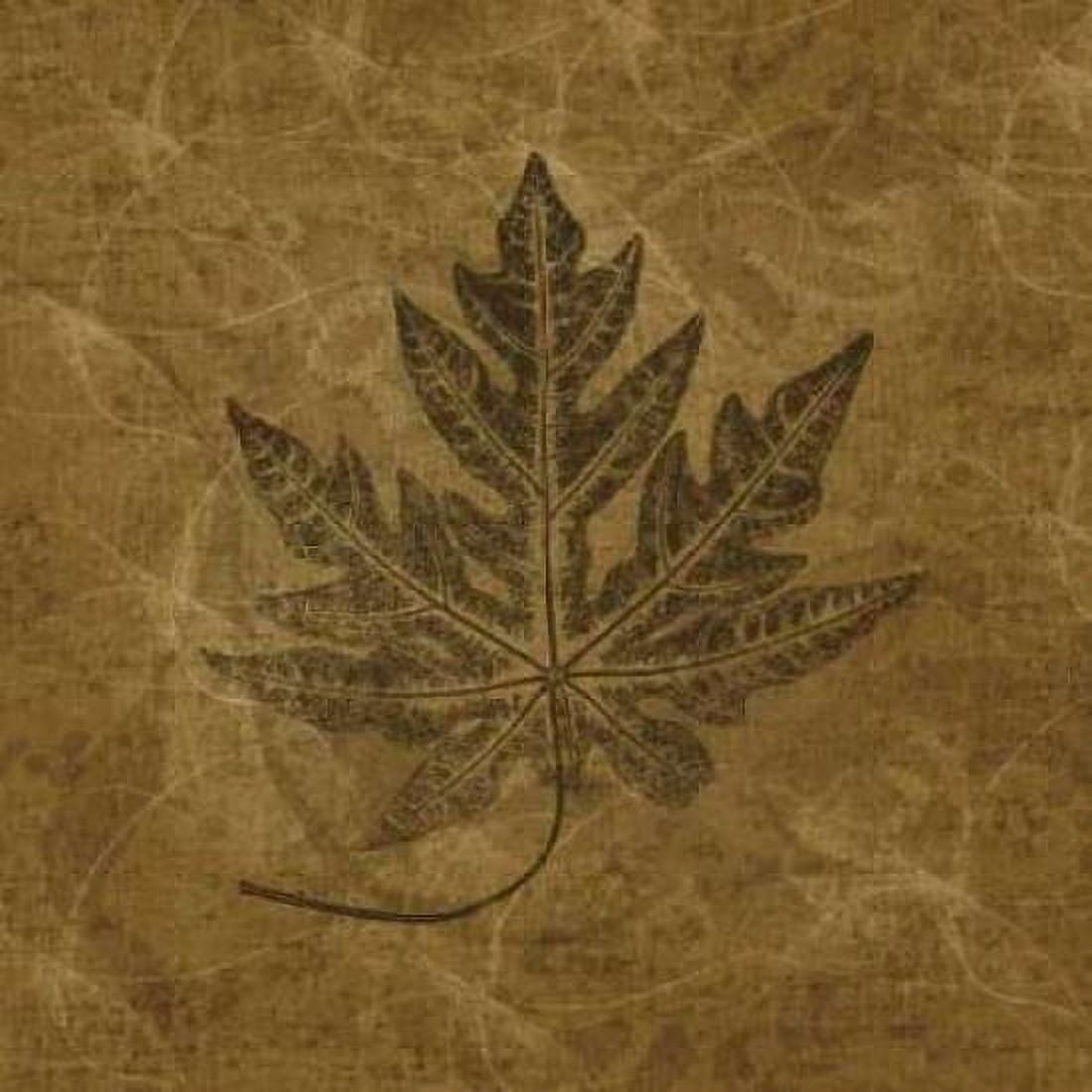 Leaves of Summer Canvas Art - Janel Pahl (24 x 24)