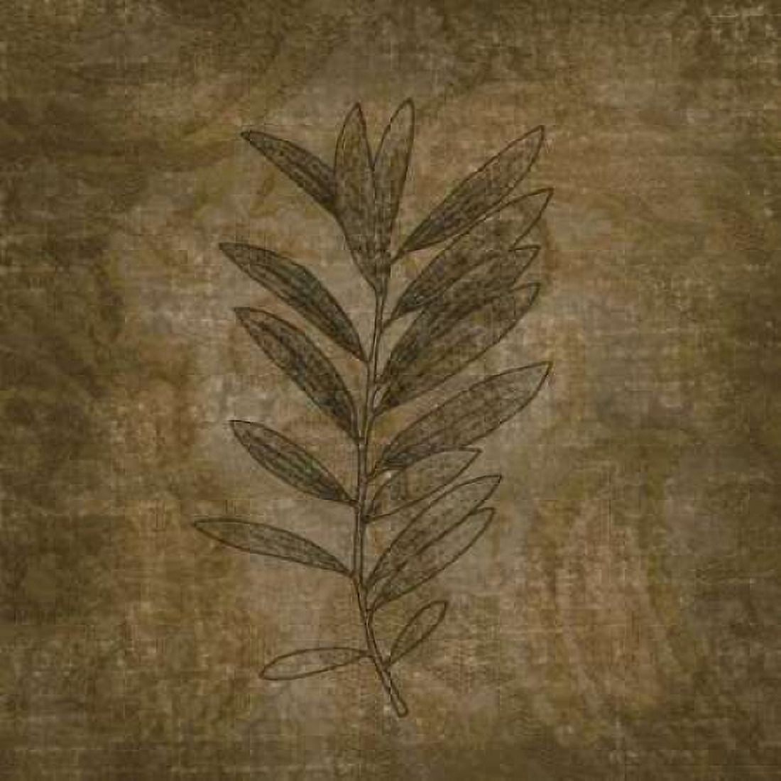 Leaves of Winter Canvas Art - Janel Pahl (24 x 24)
