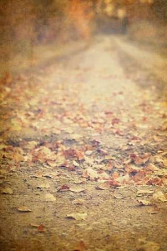 Leaving Canvas Art - Roberta Murray (20 x 28)