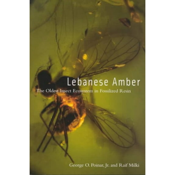 Lebanese Amber: The Oldest Insect Ecosystem in Fossilized Resin (Paperback)
