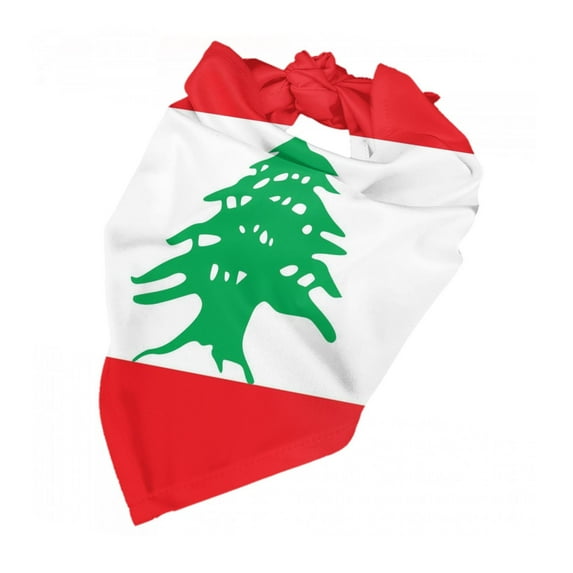Lebanese Flag Dog Bandanas Triangle Dog Scarfs For Small Medium Large Dogs And Cats