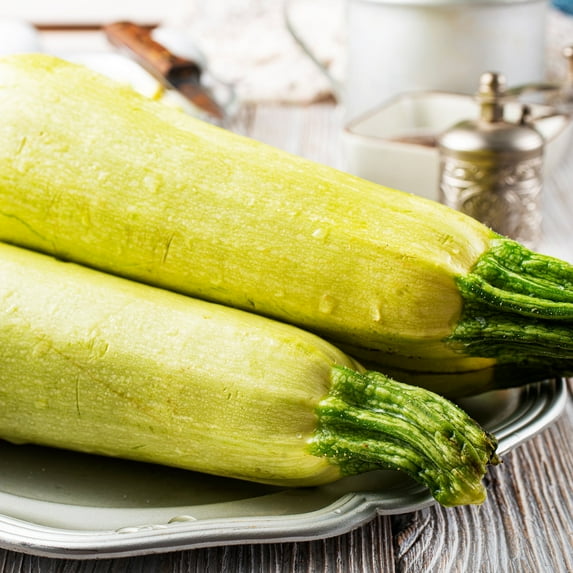 Lebanese White Bush Summer Squash Seeds (Cucurbita pepo) – 1 oz (~225 Seeds), Heirloom, 45 Days