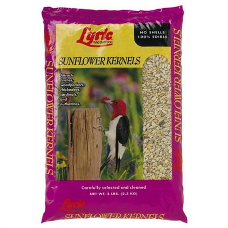 Lebanon Seaboard Sunflower Kernels