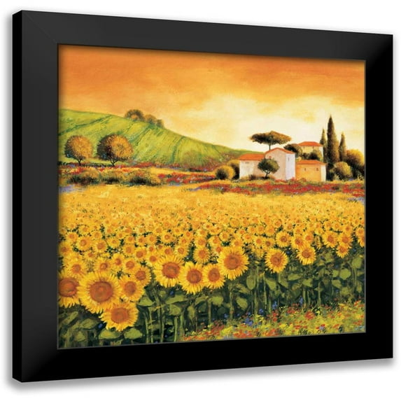 Leblanc, Richard 20x20 Black Modern Framed Museum Art Print Titled - Valley of Sunflowers