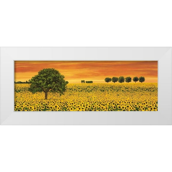 Leblanc, Richard 24x11 White Modern Wood Framed Museum Art Print Titled - Field of Sunflowers