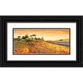 thumbnail image 1 of Leblanc, Richard 32x16 Black Ornate Wood Framed with Double Matting Museum Art Print Titled - Sunlight Country, 1 of 4