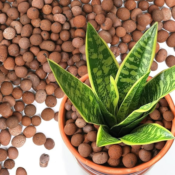 Leca Clay Pebbles for Plants, 11.5qt 10-20 mm Clay Balls for Indoor Plants, Natural Clay Pebbles for Orchid Potting Mix, Hydroponic, Leca Pots, Plant Drainage, Garden Soil