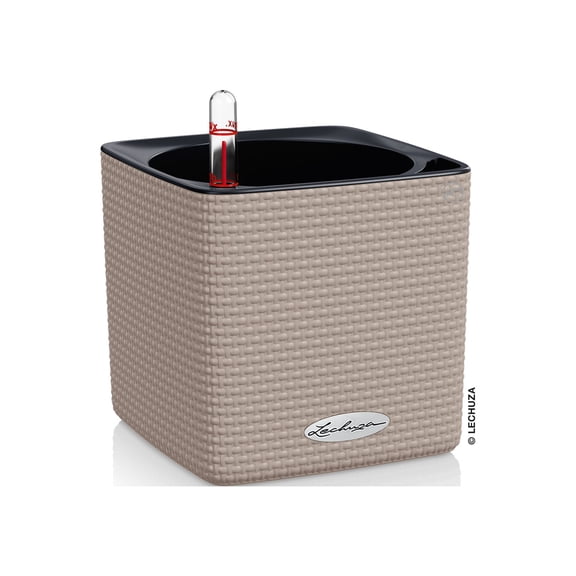 Lechuza USA 5.25" Tortilla Brown and Black Cube Planter