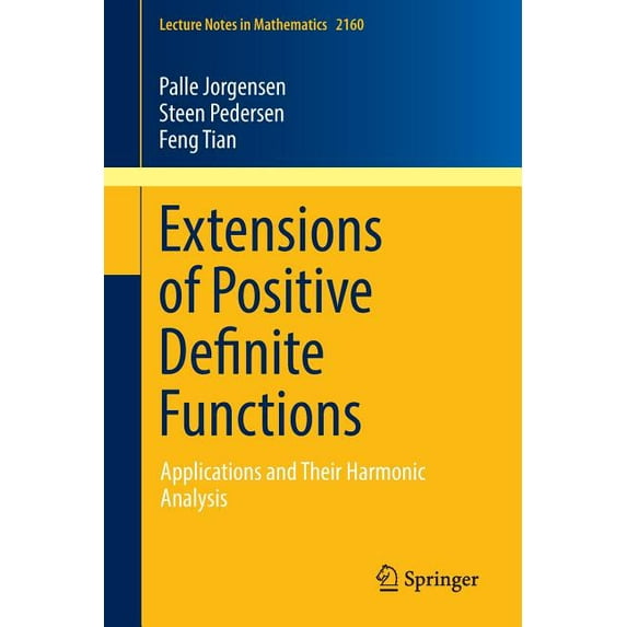 Lecture Notes in Mathematics Extensions of Positive Definite Functions: Applications and Their Harmonic Analysis, Book 2160, (Paperback)