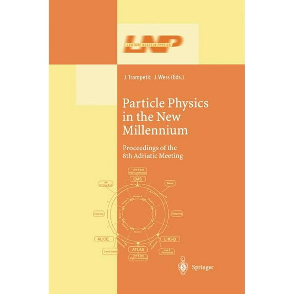 Lecture Notes in Physics Particle Physics in the New Millennium: Proceedings of the 8th Adriatic Meeting, Book 616, (Paperback)