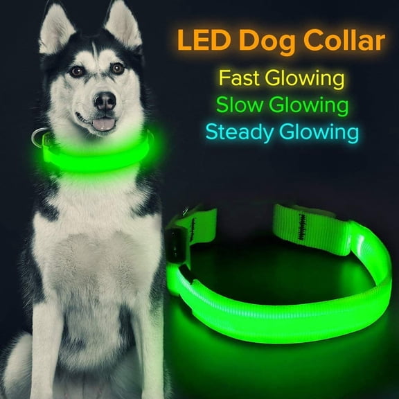 Led Lighted Up Dog Collar Flashing 100% Waterproof USB Rechargeable Pet Dog Safety Collar Glow in The Dark Light-up Neck Loop GREEN(13.38IN-16.14IN)