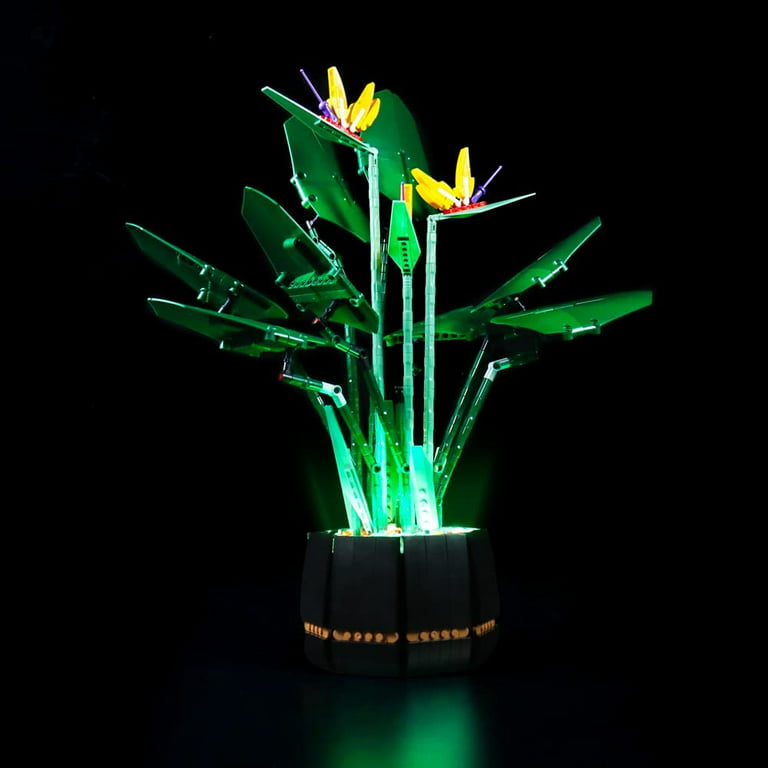 Led Lighting Kit for Legos Botanical Collection Bird of Paradise 10289  Light Set Compatible with Legos 10289(NOT Included The Legos Sets) 