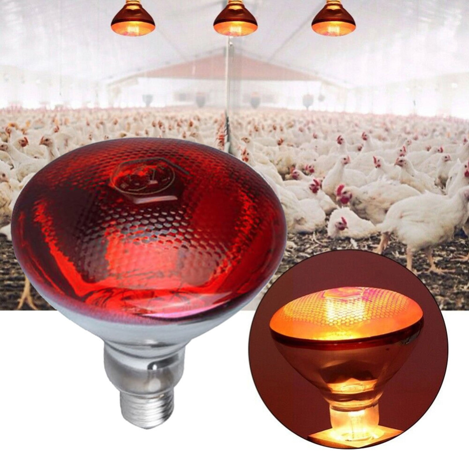 Hxoliqit Infrared 250W Heat Lamp Light Bulbs, Anti Explosion