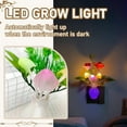 thumbnail image 1 of Led Night Light Plug In,Simulation Plant Light Control Night Light Led Socket Light Induction Light Plugin Energysaving Lamp, 1 of 5