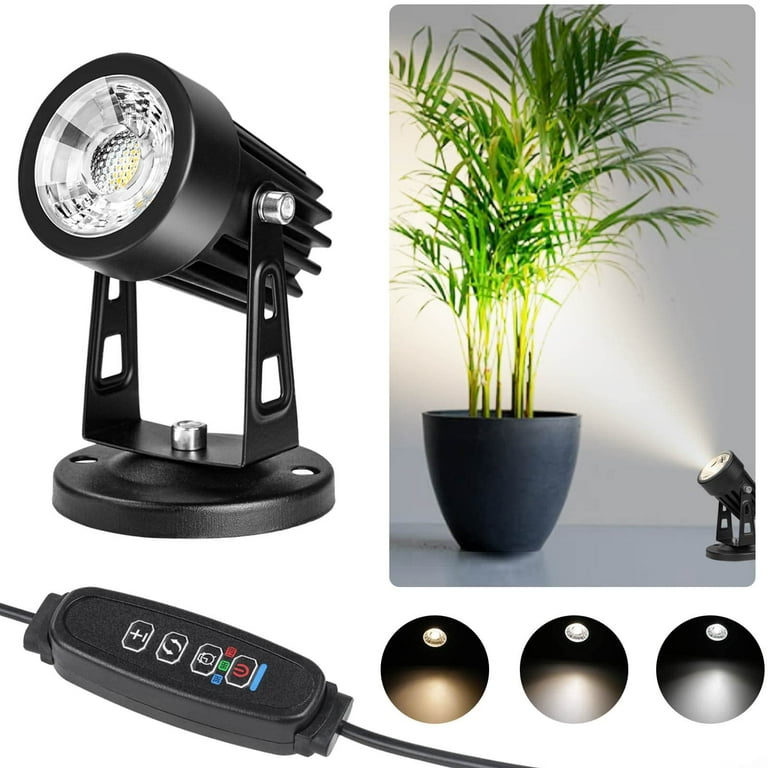 Plant spotlight online