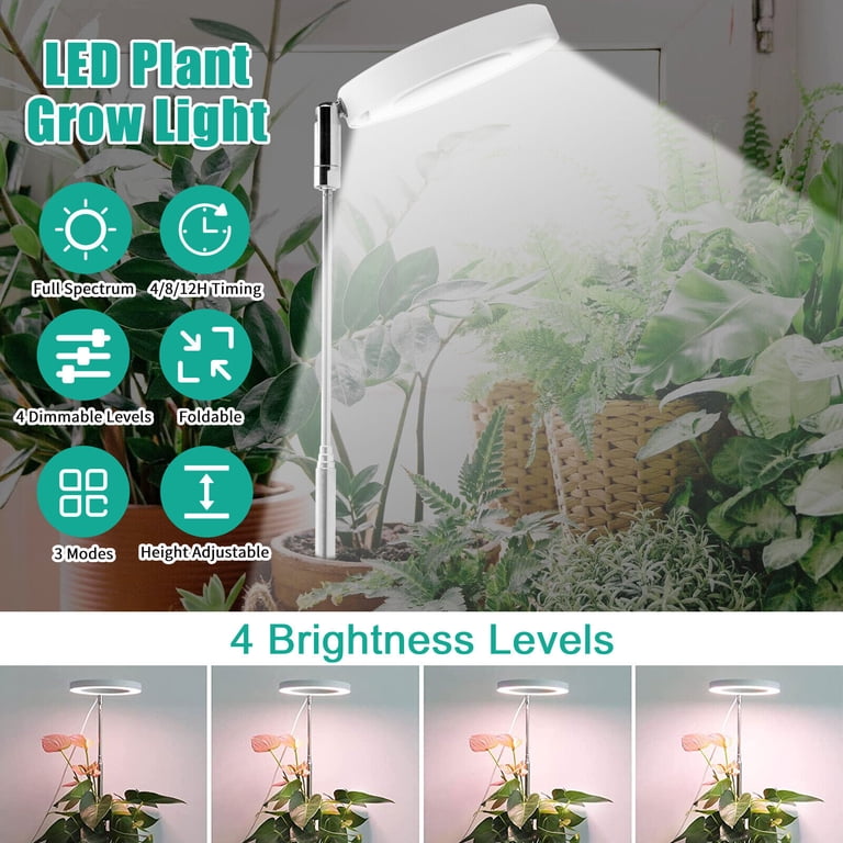 Led Telescopic Plant Grow Light Full Spectrum Timing Plant Growing Lamp For  Succulent Flowers Indoor Plants