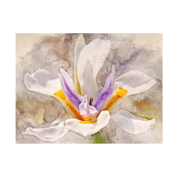 Leda Robertson 'Playful Petals I' Canvas Art